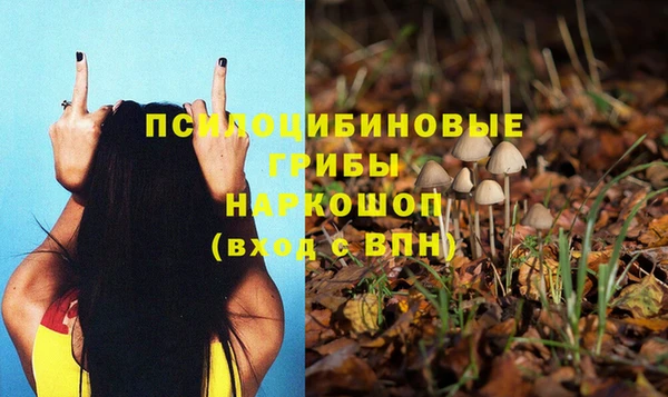 кокаин Ельня