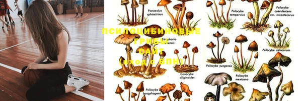 кокаин Ельня