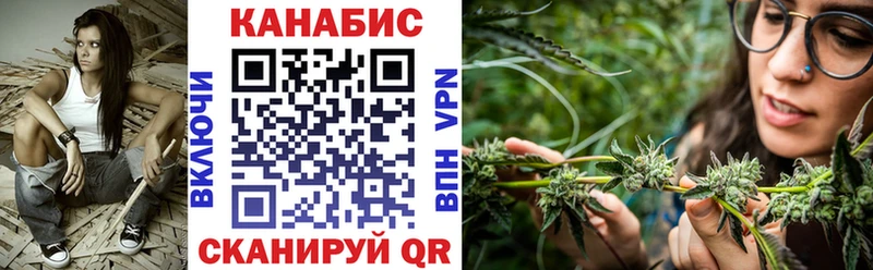Купить где Иннополис Конопля планчик